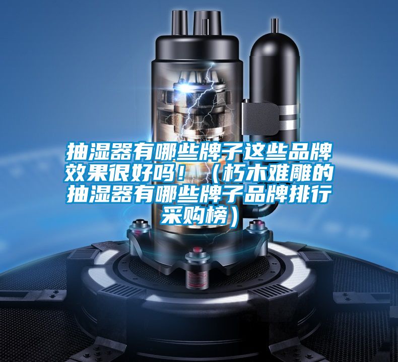 抽湿器有哪些牌子这些品牌效果很好吗?。ㄐ嗄灸训竦某槭饔心男┡谱悠放婆判胁晒喊瘢?/></p>
						    <p style=