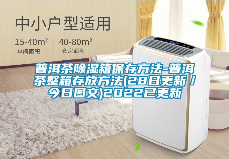 普洱茶除湿箱保存方法-普洱茶整箱存放方法(28日更新/今日图文)2022已更新