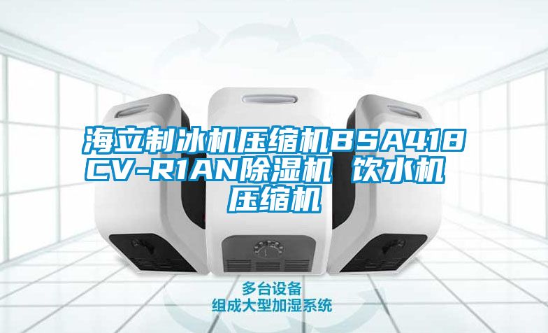 海立制冰机压缩机BSA418CV-R1AN除湿机 饮水机 压缩机