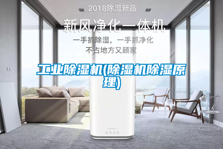 工业除湿机(除湿机除湿原理)