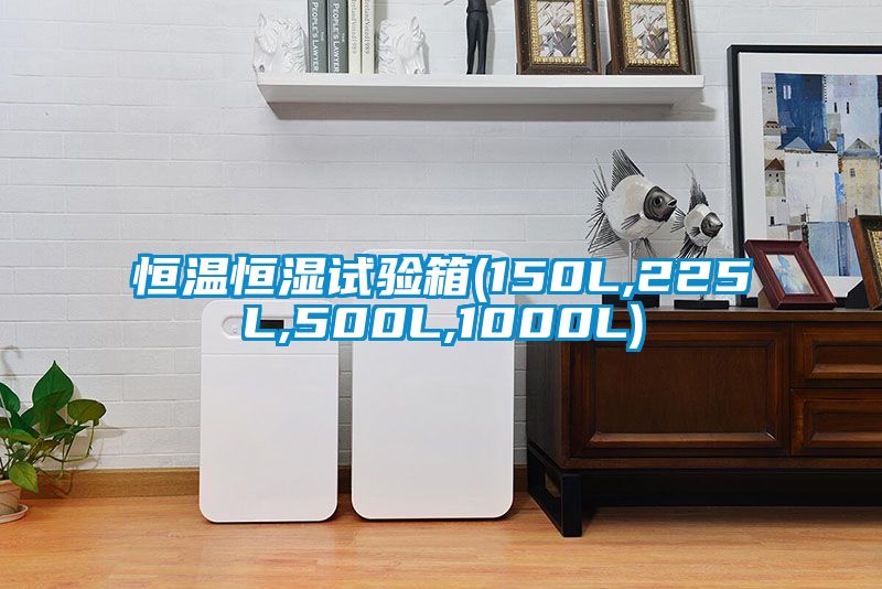 恒温恒湿试验箱(150L,225L,500L,1000L)