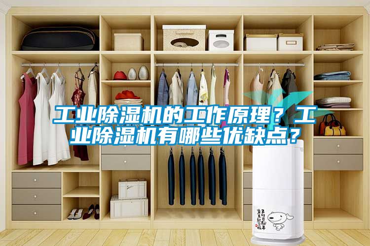 工业除湿机的工作原理？工业除湿机有哪些优缺点？