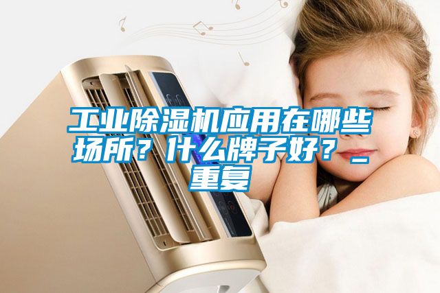工业除湿机应用在哪些场所？什么牌子好？_重复