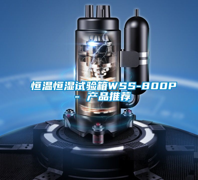 恒温恒湿试验箱WSS-800P - 产品推荐