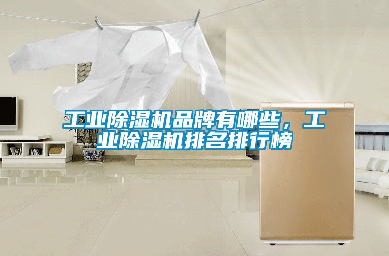 工业除湿机品牌有哪些，工业除湿机排名排行榜