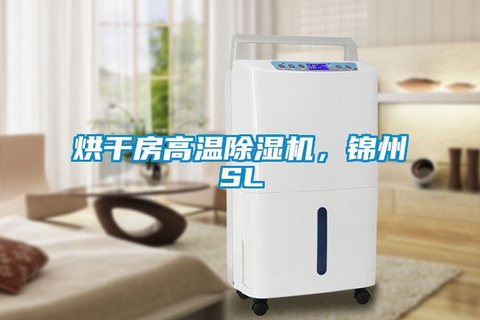 烘干房高温除湿机，锦州SL