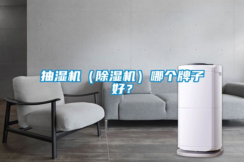 抽湿机（除湿机）哪个牌子好？