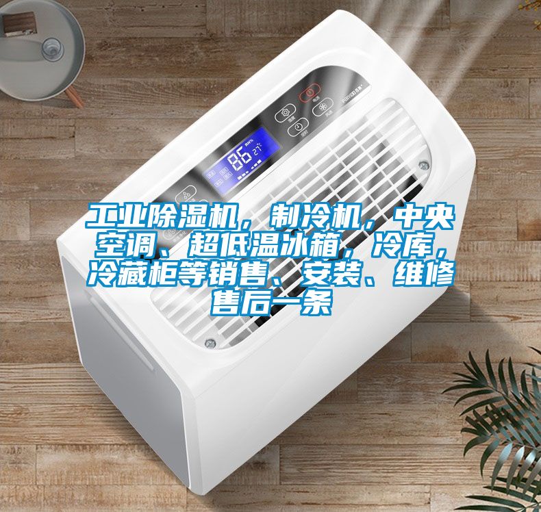 工业除湿机，制冷机，中央空调、超低温冰箱，冷库，冷藏柜等销售、安装、维修售后一条