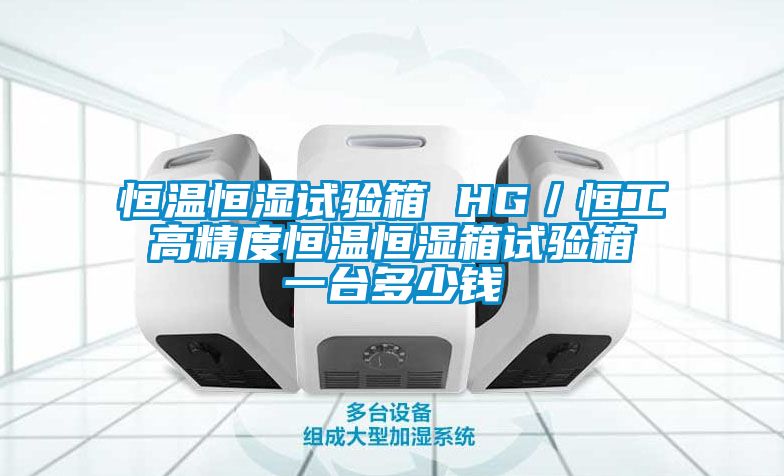 恒温恒湿试验箱 HG/恒工 高精度恒温恒湿箱试验箱 一台多少钱