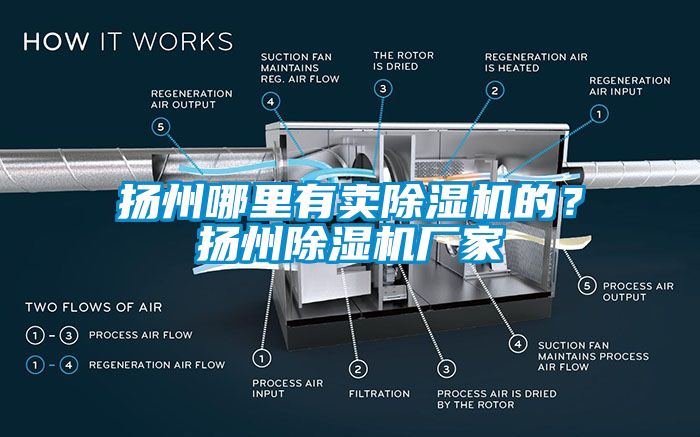 扬州哪里有卖除湿机的？扬州除湿机厂家