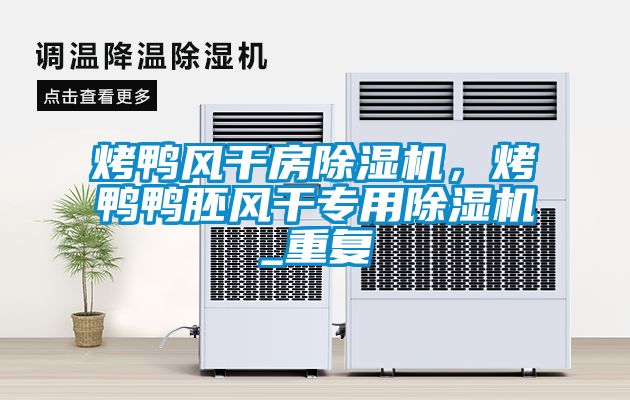烤鸭风干房除湿机，烤鸭鸭胚风干专用除湿机_重复
