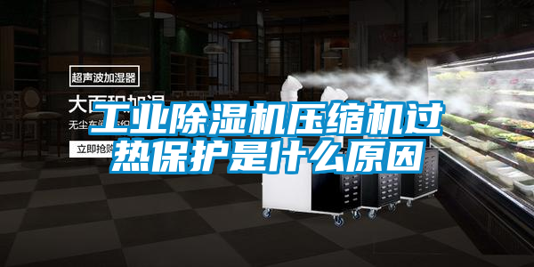 工业除湿机压缩机过热?；な鞘裁丛?/></p>
						    <p style=