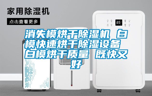 消失模烘干除湿机 白?？焖俸娓沙璞?白模烘干质量 既快又好