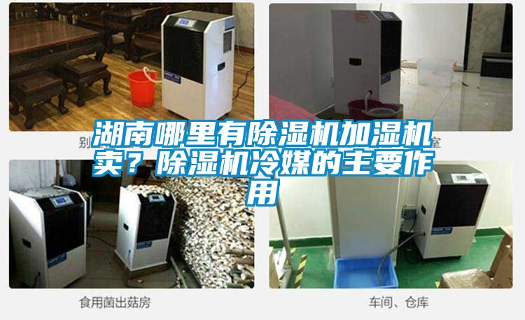 湖南哪里有除湿机加湿机卖？除湿机冷媒的主要作用