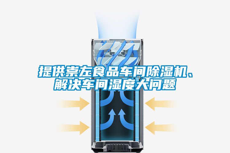 提供崇左食品车间除湿机、解决车间湿度大问题