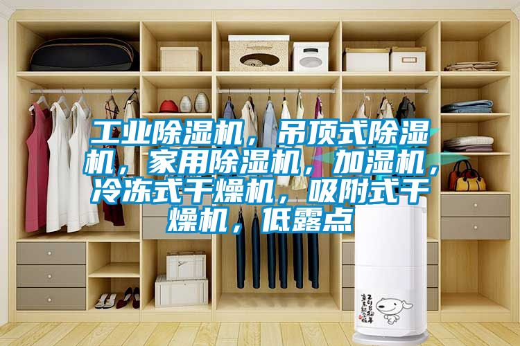 工业除湿机，吊顶式除湿机，家用除湿机，加湿机，冷冻式干燥机，吸附式干燥机，低露点
