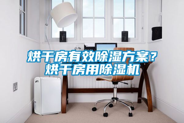 烘干房有效除湿方案？烘干房用除湿机