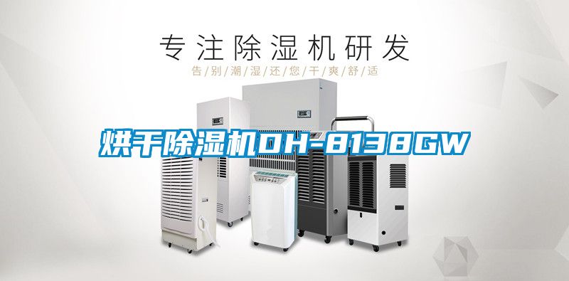烘干除湿机DH-8138GW