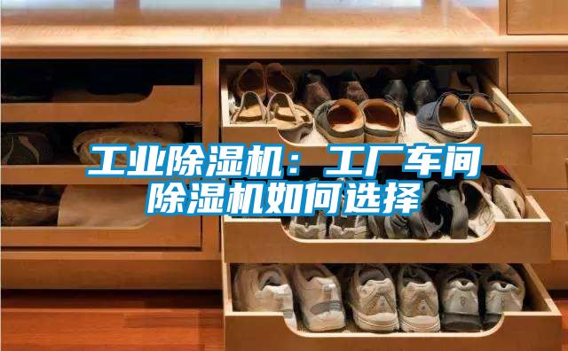工业除湿机：工厂车间除湿机如何选择