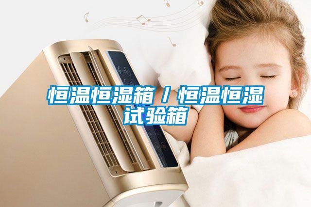 恒温恒湿箱／恒温恒湿试验箱