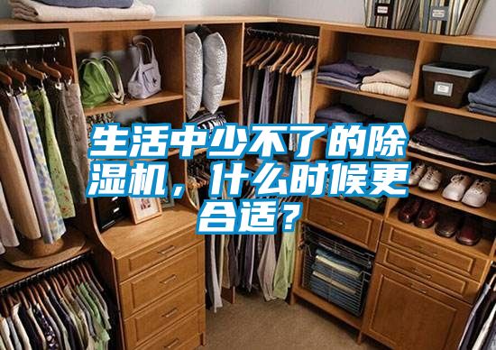 生活中少不了的除湿机，什么时候更合适？