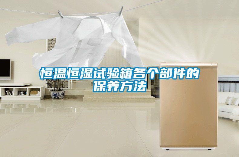 恒温恒湿试验箱各个部件的保养方法