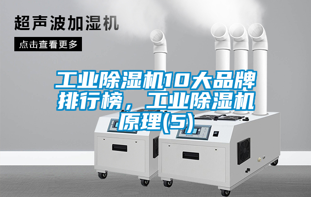 工业除湿机10大品牌排行榜，工业除湿机原理(5)