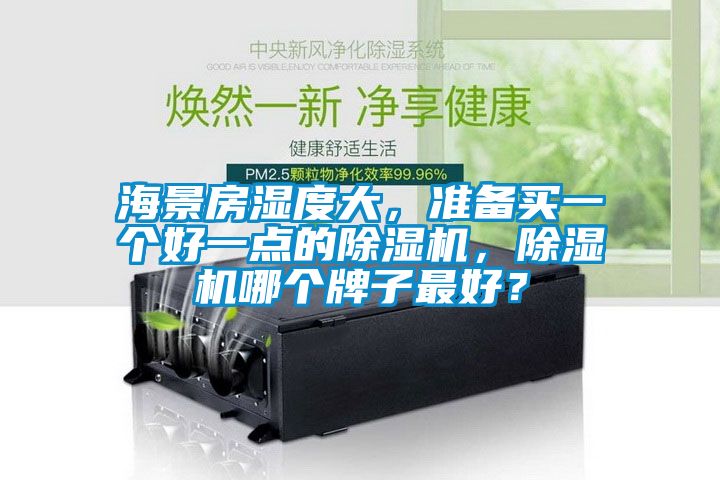海景房湿度大，准备买一个好一点的除湿机，除湿机哪个牌子最好？
