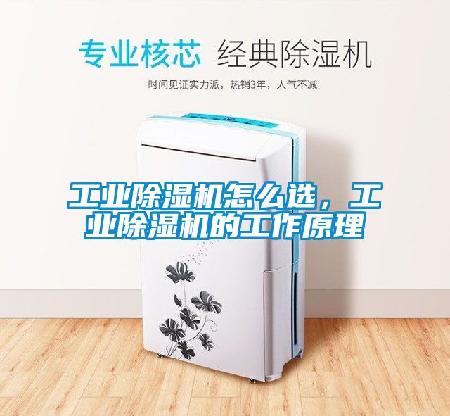 工业除湿机怎么选，工业除湿机的工作原理