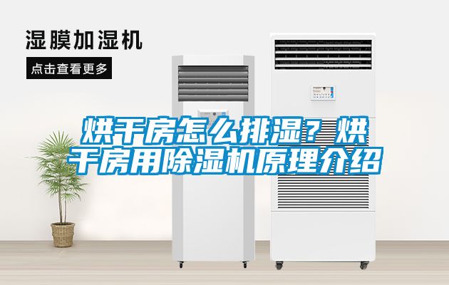 烘干房怎么排湿？烘干房用除湿机原理介绍