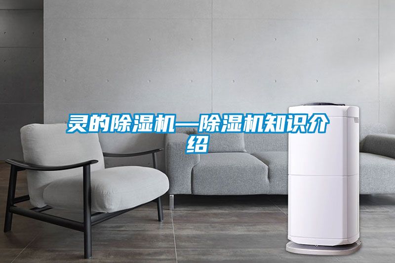 灵的除湿机—除湿机知识介绍