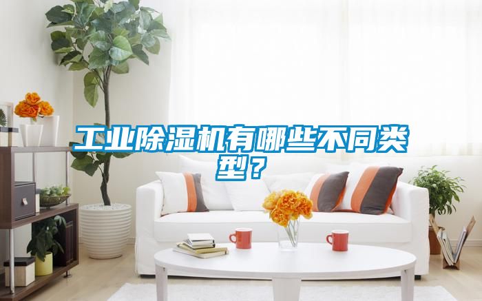 工业除湿机有哪些不同类型？