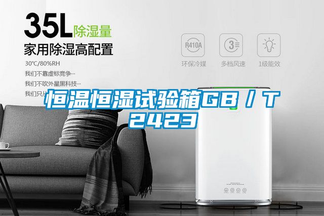 恒温恒湿试验箱GB/T2423