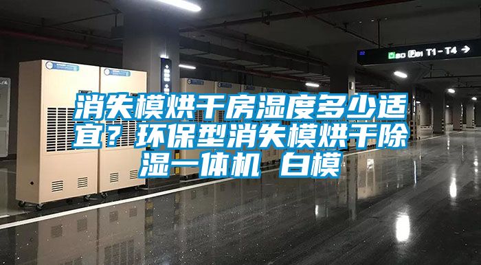 消失模烘干房湿度多少适宜？环保型消失模烘干除湿一体机 白模