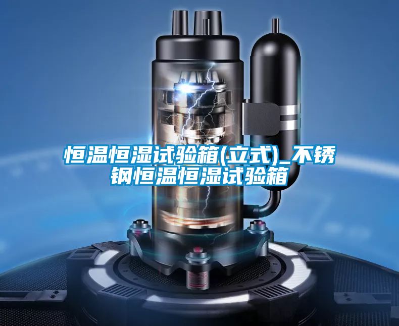 恒温恒湿试验箱(立式)_不锈钢恒温恒湿试验箱