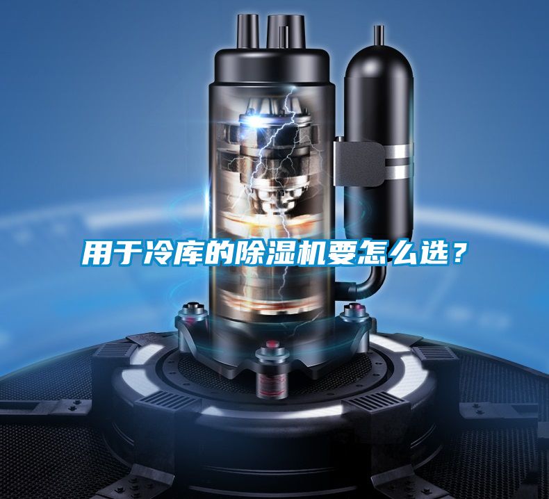 用于冷库的除湿机要怎么?。?></div>
								<div   id=
