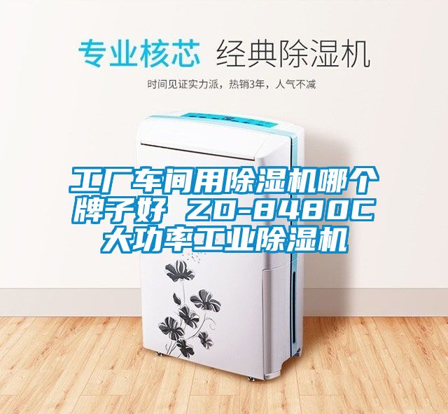 工厂车间用除湿机哪个牌子好 ZD-8480C大功率工业除湿机