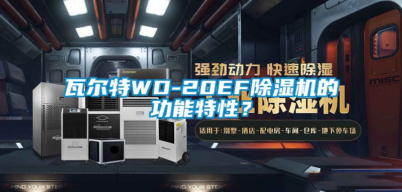 瓦尔特WD-20EF除湿机的功能特性？