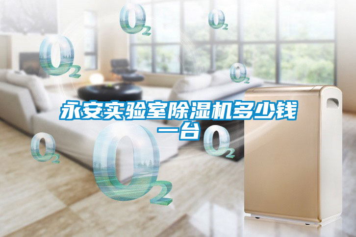 永安实验室除湿机多少钱一台