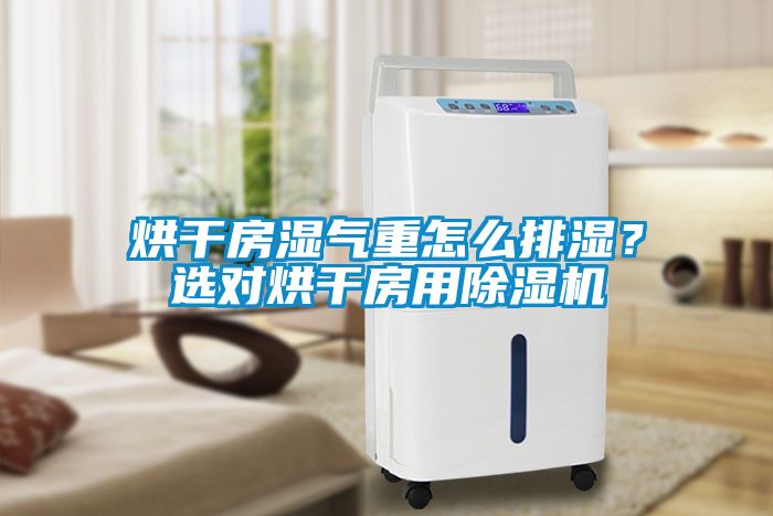 烘干房湿气重怎么排湿？选对烘干房用除湿机