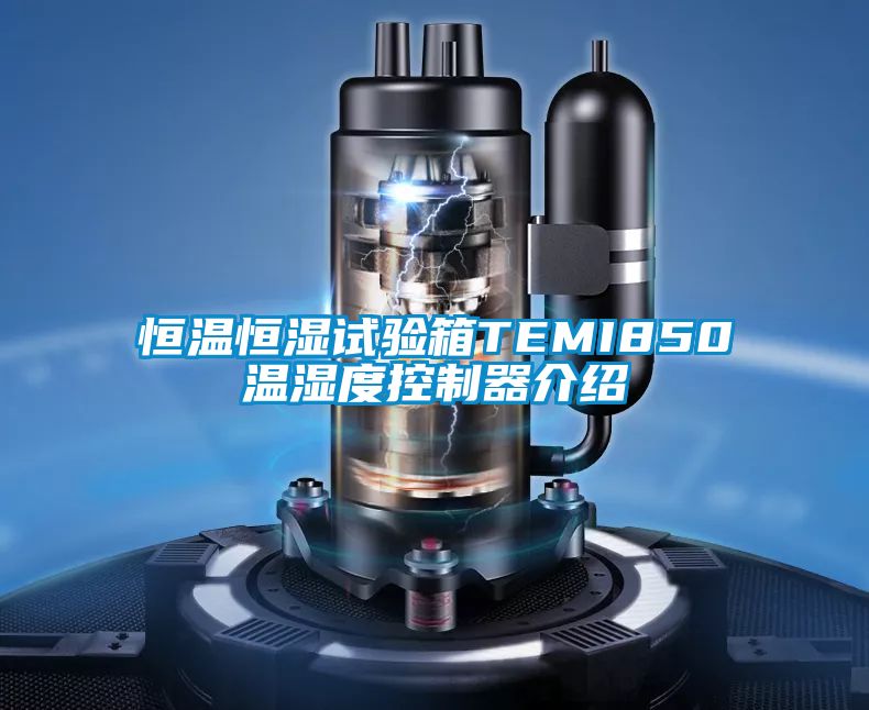 恒温恒湿试验箱TEMI850温湿度控制器介绍
