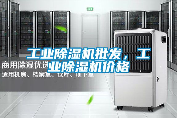 工业除湿机批发，工业除湿机价格