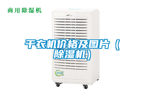 干衣机价格及图片(除湿机)