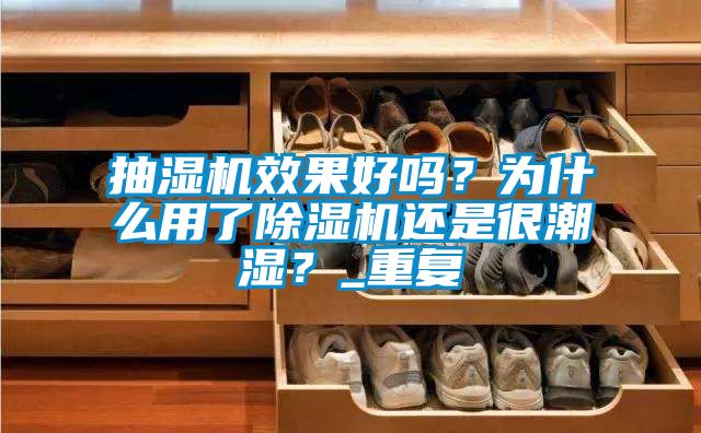 抽湿机效果好吗？为什么用了除湿机还是很潮湿？_重复