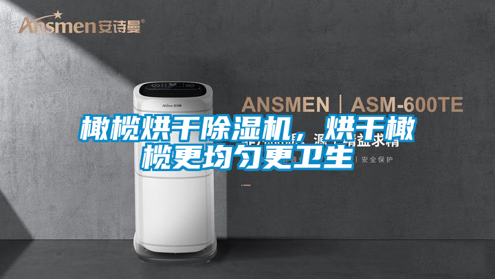 橄榄烘干除湿机，烘干橄榄更均匀更卫生