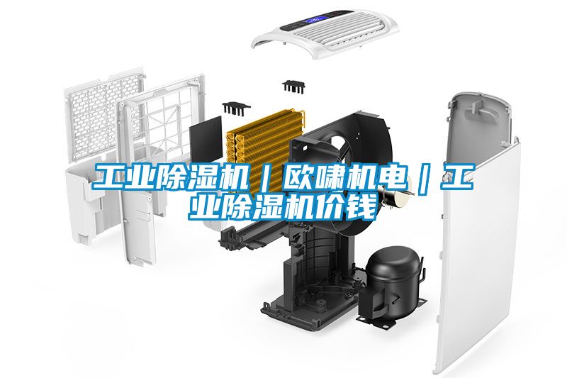 工业除湿机|欧啸机电|工业除湿机价钱