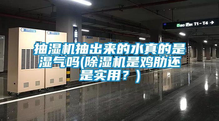 抽湿机抽出来的水真的是湿气吗(除湿机是鸡肋还是实用？)