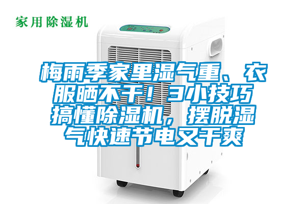 梅雨季家里湿气重、衣服晒不干！3小技巧搞懂除湿机，摆脱湿气快速节电又干爽