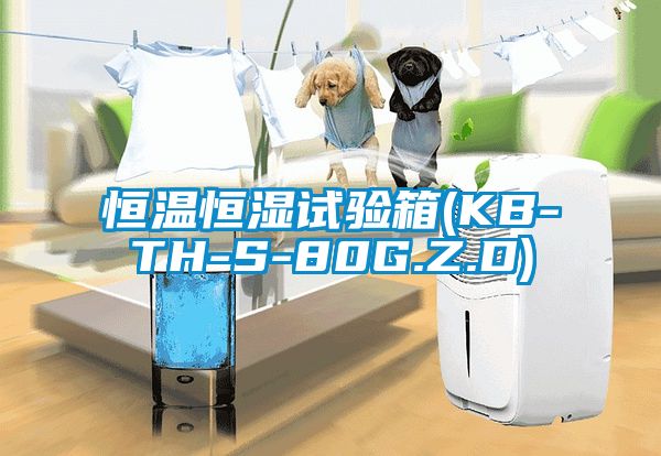 恒温恒湿试验箱(KB-TH-S-80G.Z.D)