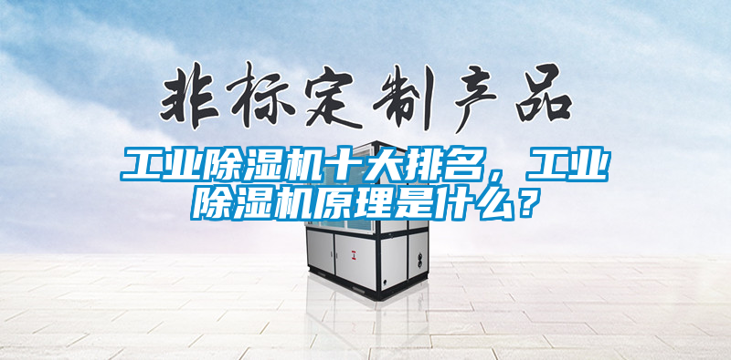 工业除湿机十大排名，工业除湿机原理是什么？